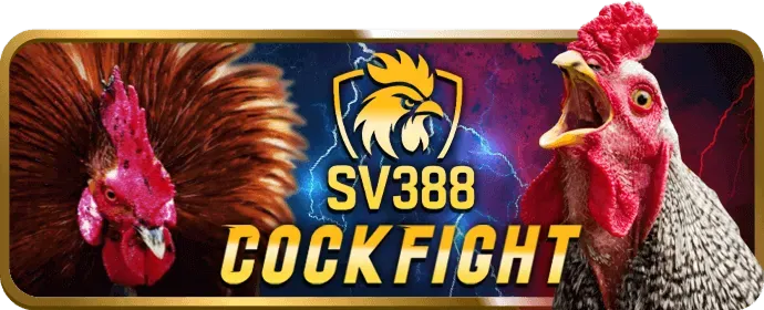 Cập nhật hệ thống và tính năng mới sv66 game